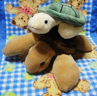 うみがめさん５