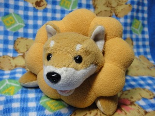 きゃろっとらいおんさん