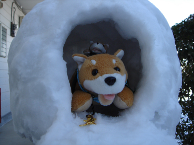 キャロットinかまくら