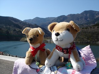 わんこの遠足３