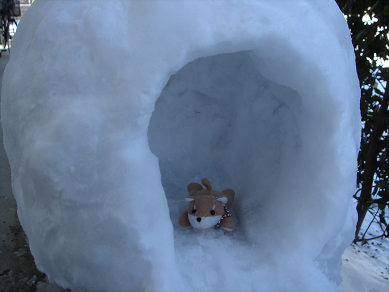 ちびキャロットinかまくら