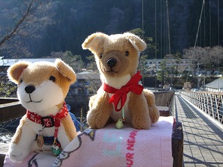 わんこの遠足５