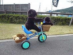 こぐまの冒険３－４