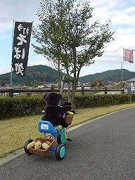 こぐまの冒険３－５