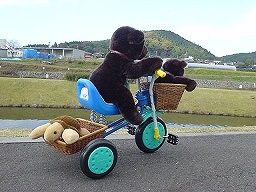 こぐまの冒険３－６