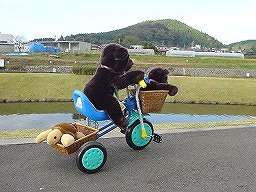 こぐまの冒険３－７