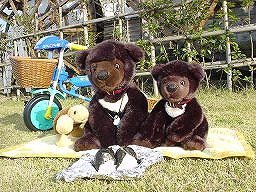 こぐまの冒険３－１０お弁当