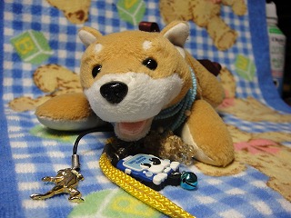 キャロット　その１