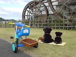 こぐまの冒険３－１１