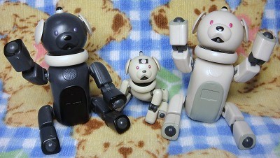 Aibo1