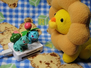 ぽんちゃん　その１