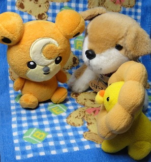 ヒメちゃんとみんな