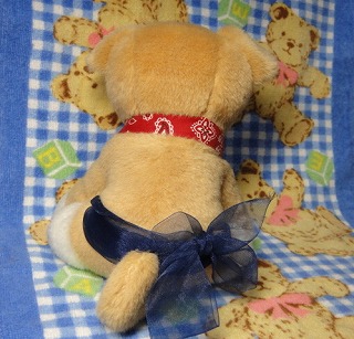 しば～るくん　（後ろ）