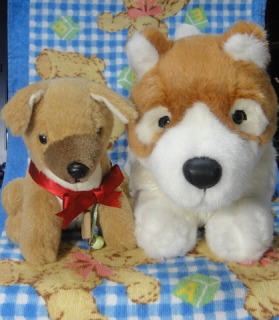 しばごろうちゃん