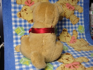 しばごろうくん　その２