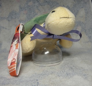 アオウミガメさんのリボン