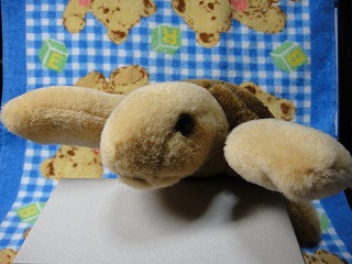 うみちゃん　その２