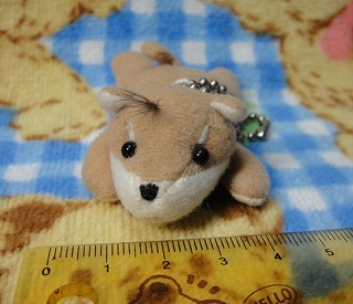 ちびキャロット１