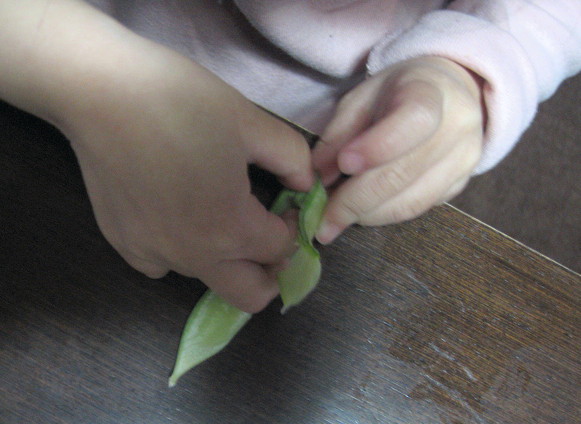 豆ご飯お手伝い1