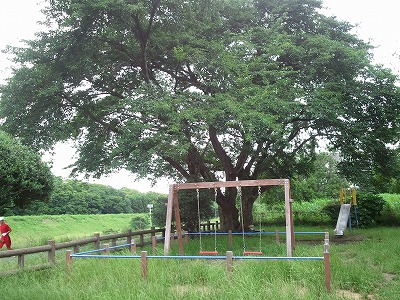 運河公園.jpg