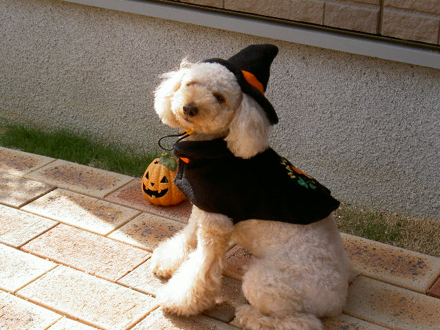 PICT9407.JPG