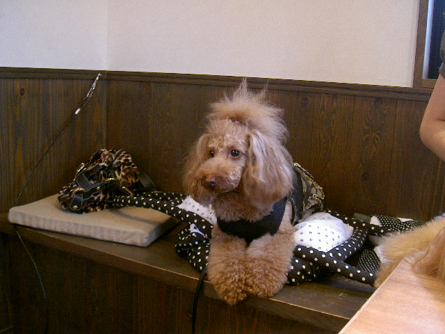PICT9299.JPG