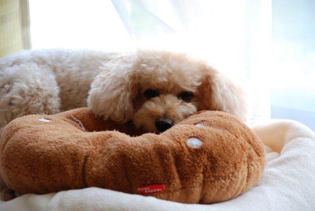 a009.jpg