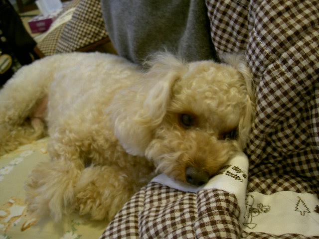 PICT0564.JPG