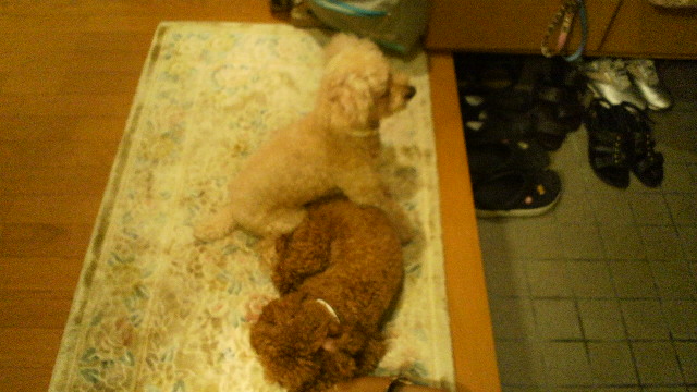 2011070719380001.jpg