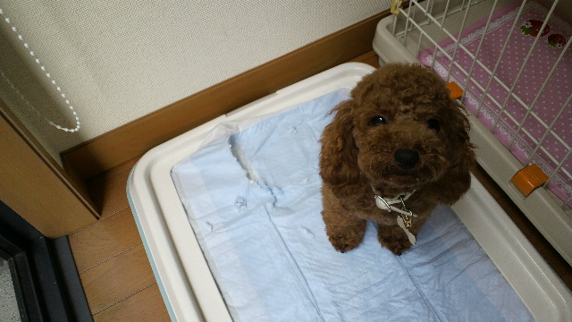 2011061413340001.jpg