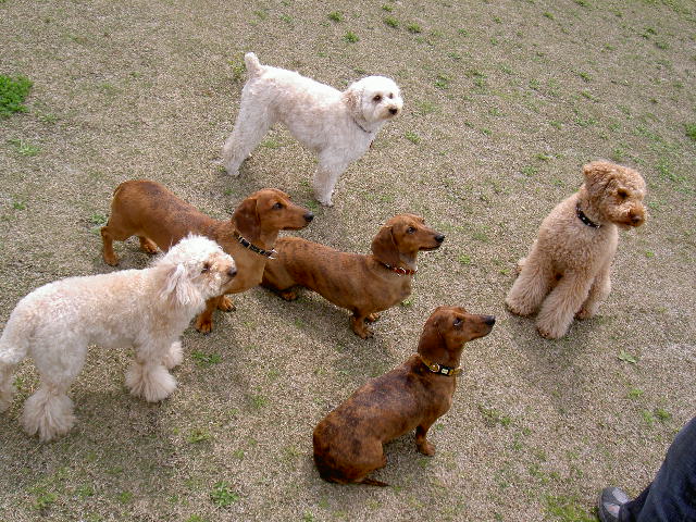 PICT1804.JPG