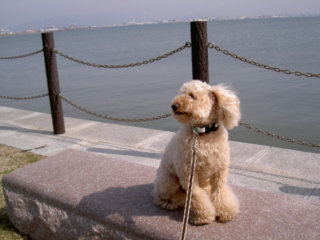 PICT1819.JPG