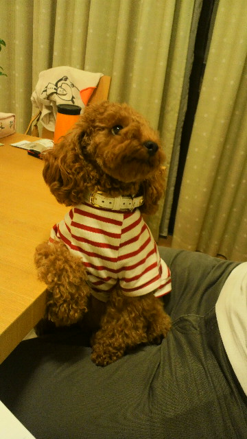 2011092721050003.jpg