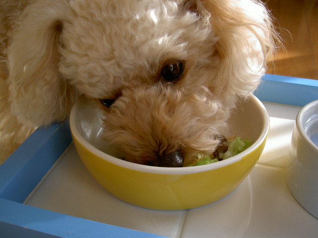 PICT0045.JPG
