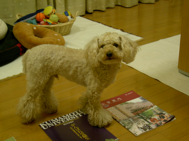PICT0968.JPG
