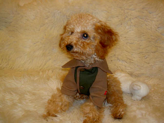 PICT7570.JPG