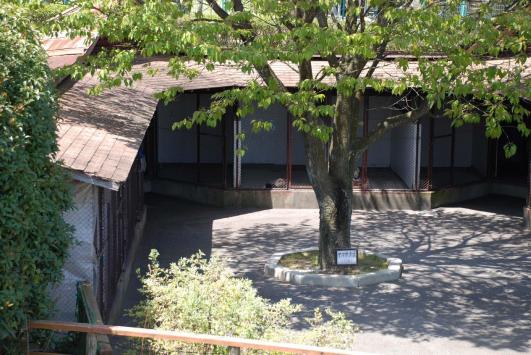 0136.jpg
