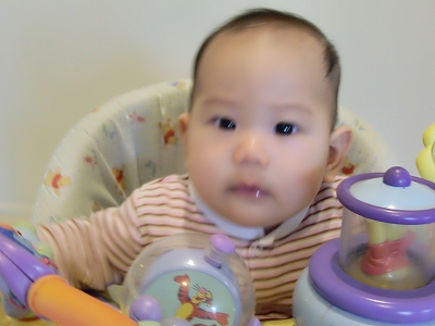 20100420　おもちゃに興味津々