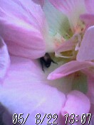頭かくして