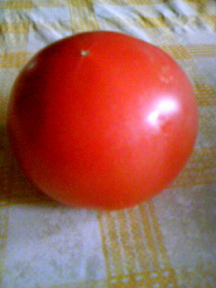 tomato