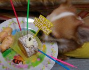 2006.1.15coco