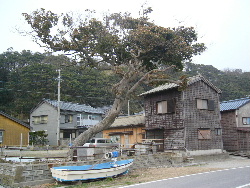 村の風景