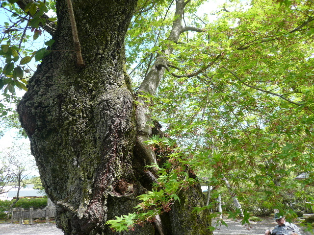 江川邸樹