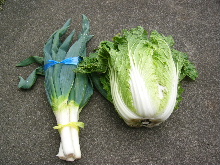 野菜