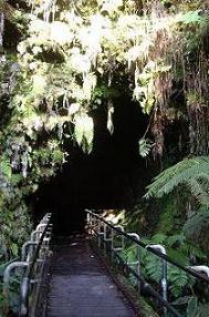 ハワイ島 サーストン溶岩トンネル