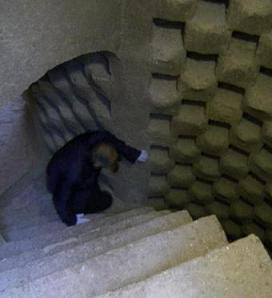 はと小屋急階段