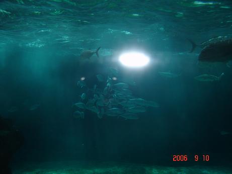 須磨海浜水族園