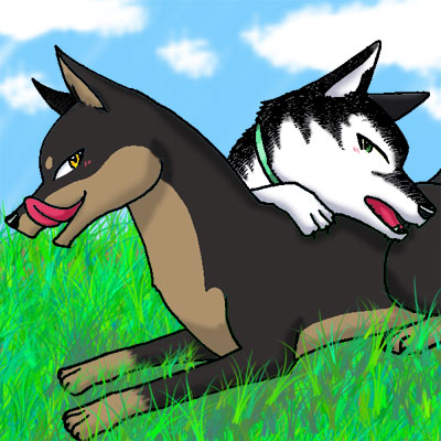 野良ドーベル&飼いマラミュート