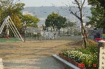 南山東公園南側広場2005，4月