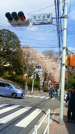 桜坂